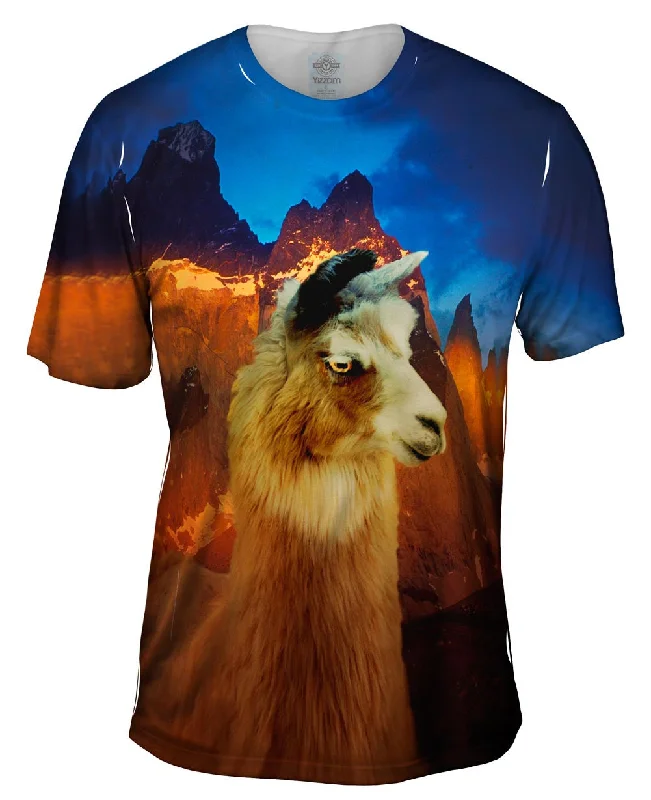 Pay Less Andes Llama Sunset