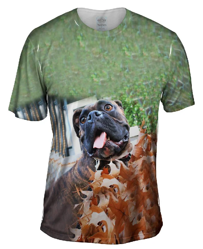 The Best Prices Autumn Leaves Boxer