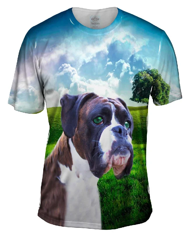 Buy Now Boxer Enjoying Nature