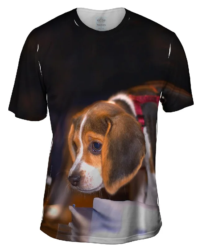 Daily Specials Cautious Beagle